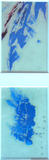 2012-29 MT Öl Transparentfolie (2 mal 14x9 cm)